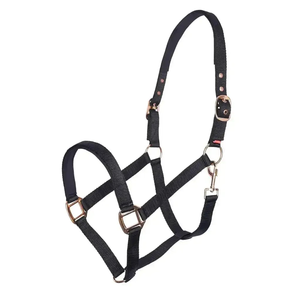 Black nylon imperial riding headcollar classic sport with silver metal buckles and rings for comfortable riding