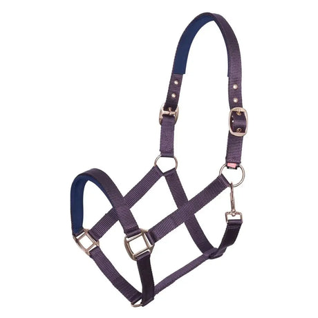 Imperial Riding Headcollar Classic Sport Bordeaux Foal Bordeaux Barnstaple Equestrian Supplies