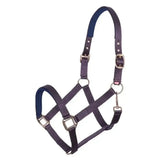 Dark purple and navy blue nylon imperial riding headcollar classic sport bordeaux with silver buckles and soft neoprene padded