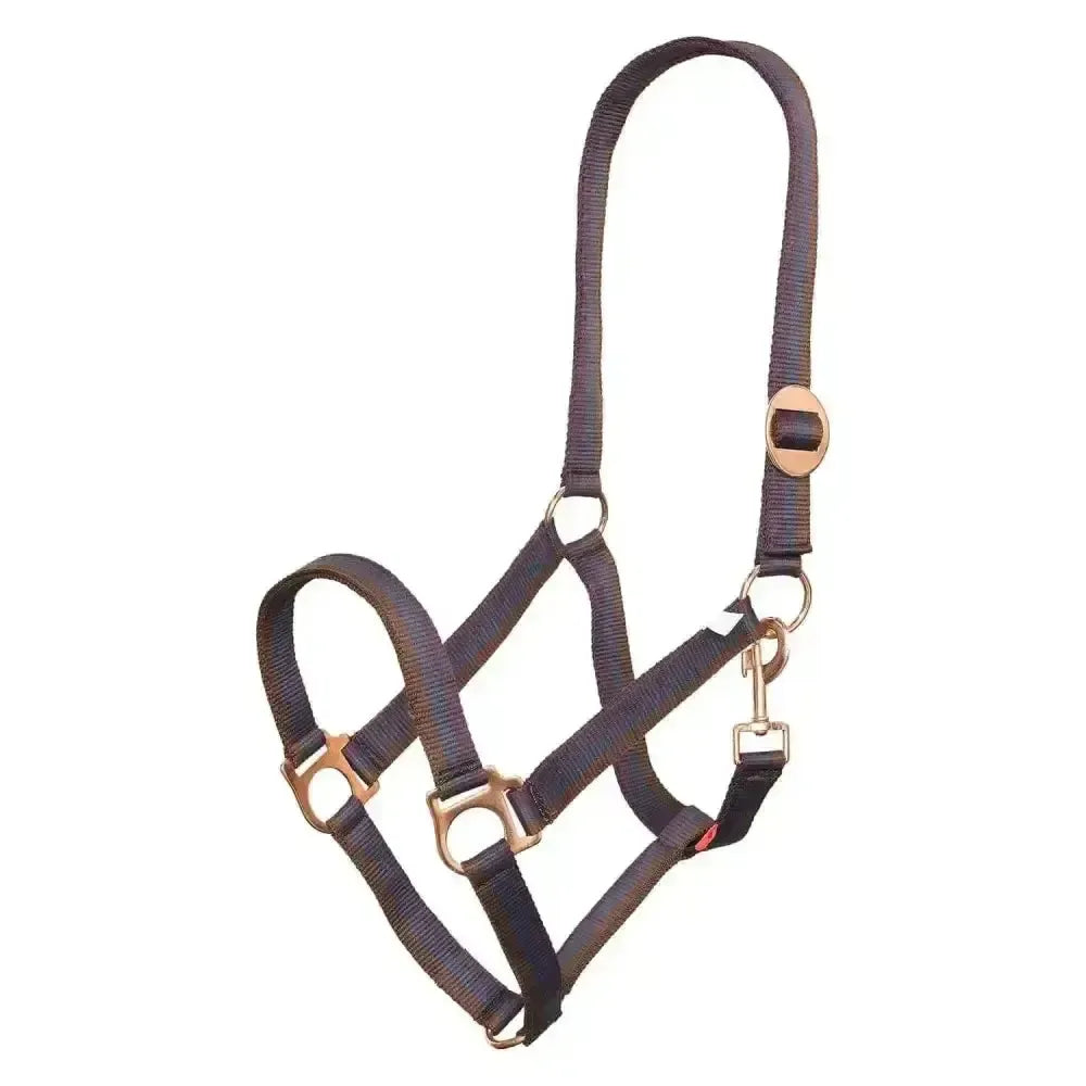 Imperial Riding Headcollar Economic Multi Bordeaux Pony Multi Bordeaux Headcollars
