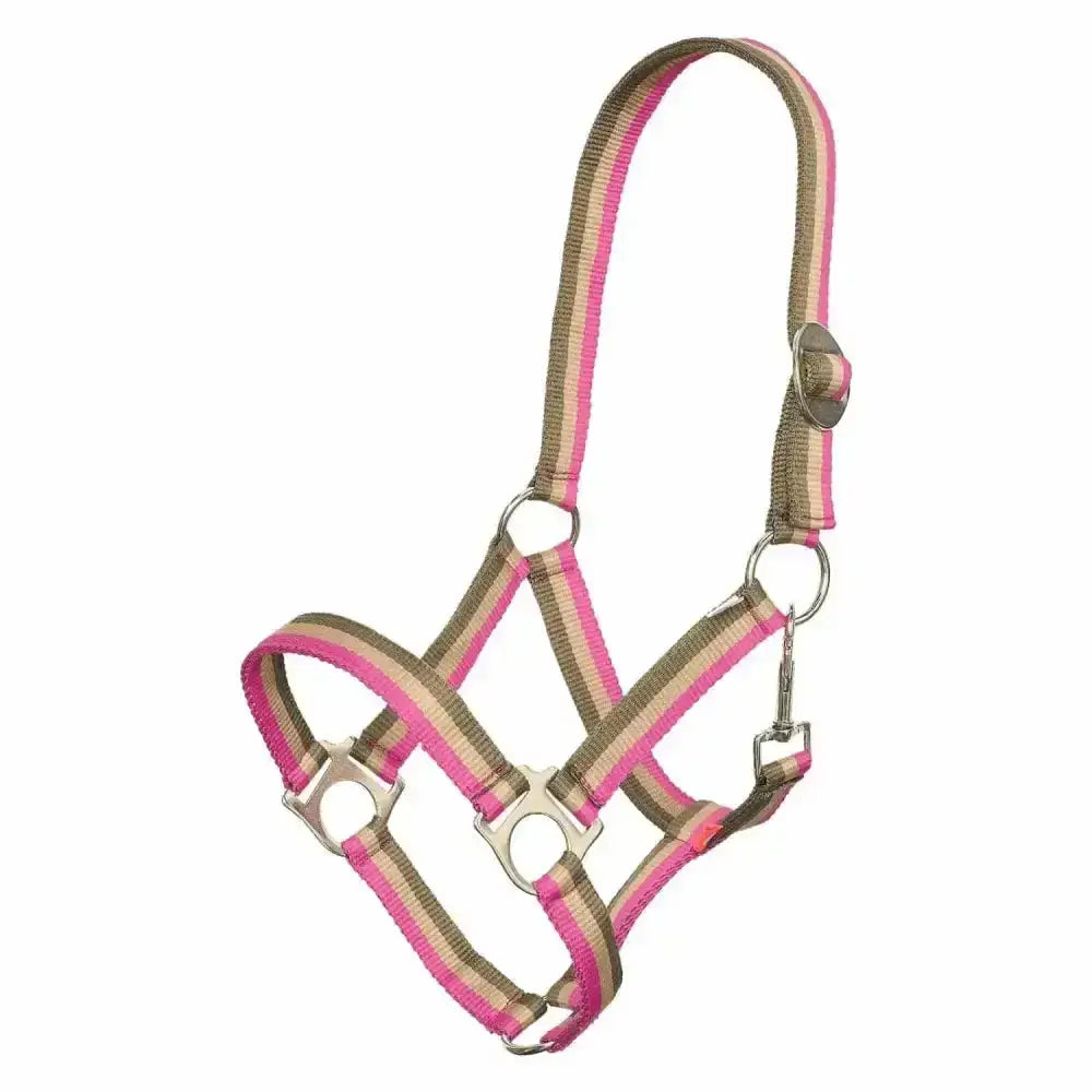 Imperial riding headcollar economic nylon halter in pink and tan stripes with silver metal hardware multi flower pink design