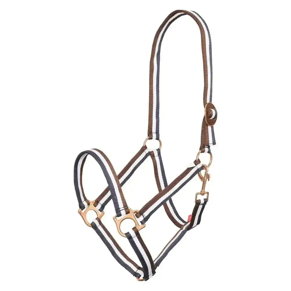 Brown and white striped economic nylon halter with brass hardware from imperial riding headcollar economic navy line