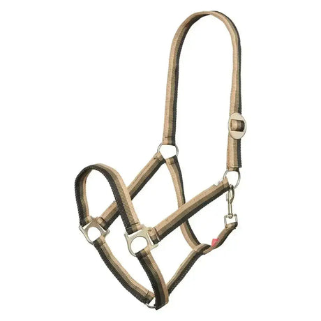 Tan and black striped nylon imperial riding headcollar with silver hardware economic riding headcollar economic