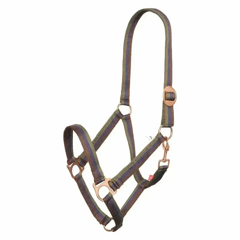 Dark green woven nylon imperial riding headcollar with brass hardware and adjustable buckle economic nylon halter