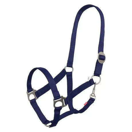 Navy blue economic nylon halter with silver buckles from the imperial riding headcollar collection