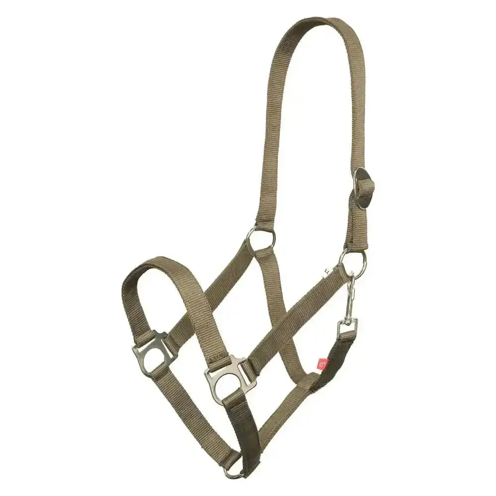 Olive green nylon imperial riding headcollar with silver hardware and adjustable buckles riding headcollar economic