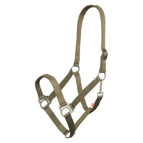 Olive green nylon imperial riding headcollar economic with silver metal hardware and adjustable buckles
