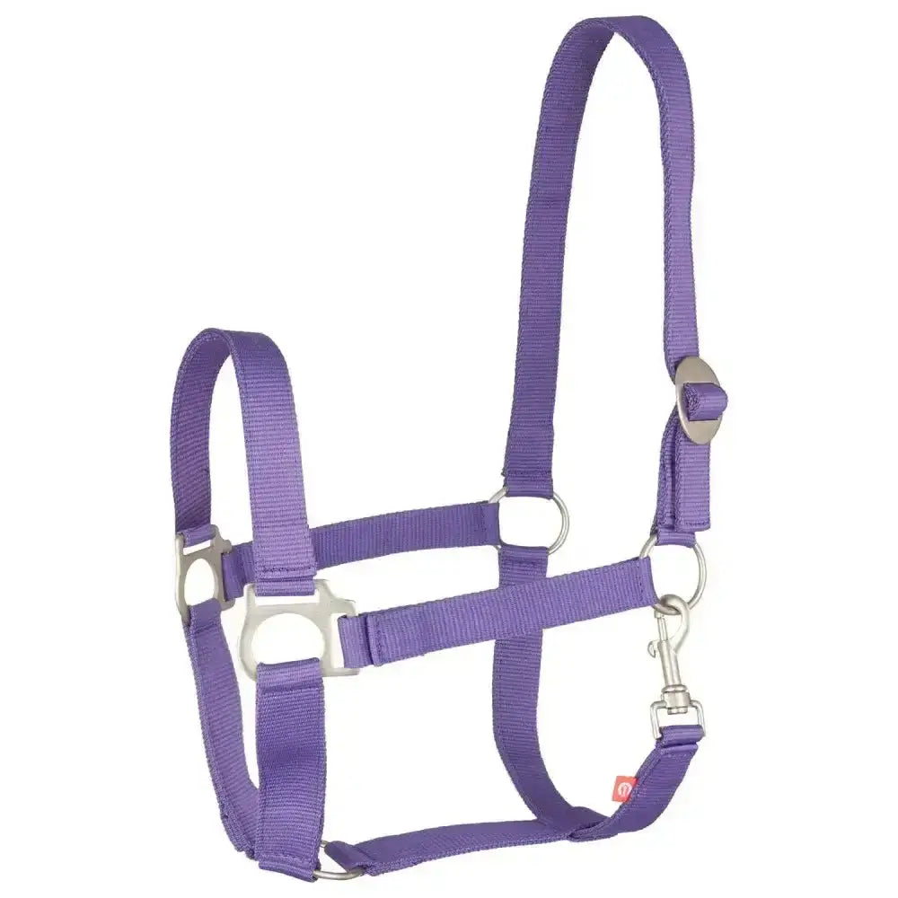 Imperial riding headcollar economic royal purple made of purple woven nylon with silver quick-release buckle and hardware