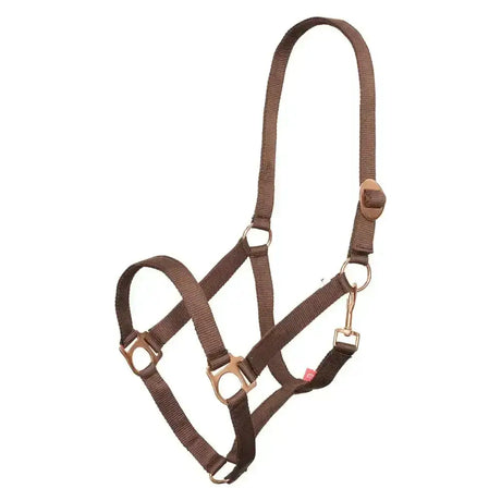 Brown woven nylon imperial riding headcollar economic walnut with brass hardware and buckle closures economic nylon halter