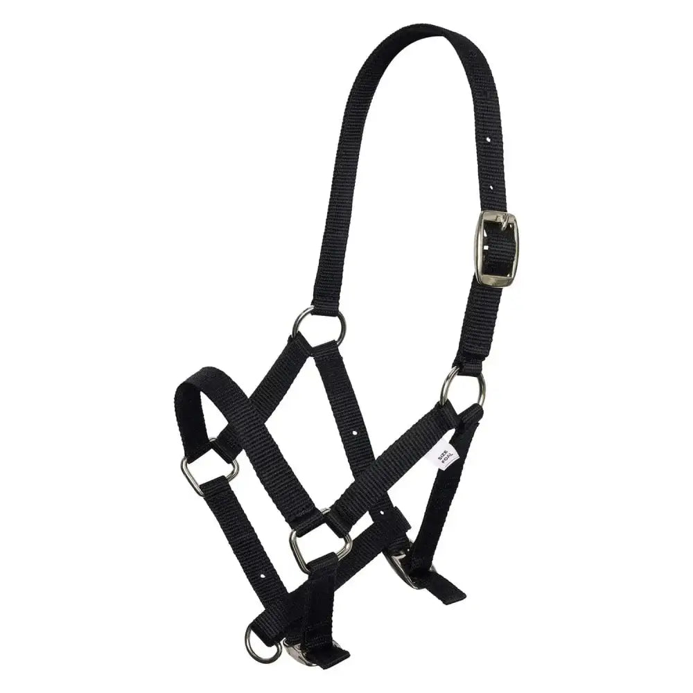 Imperial Riding Headcollar Nylon Foal Foal Black Barnstaple Equestrian Supplies