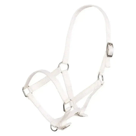 White leather imperial riding headcollar with silver buckles and rings nylon foal halter for young horses
