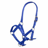 Bright blue imperial riding headcollar nylon foal with silver hardware and adjustable buckles for foal horses