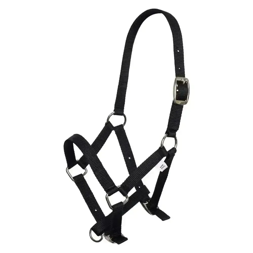 Imperial Riding Headcollar Nylon Foal Foal Bordeaux Headcollars