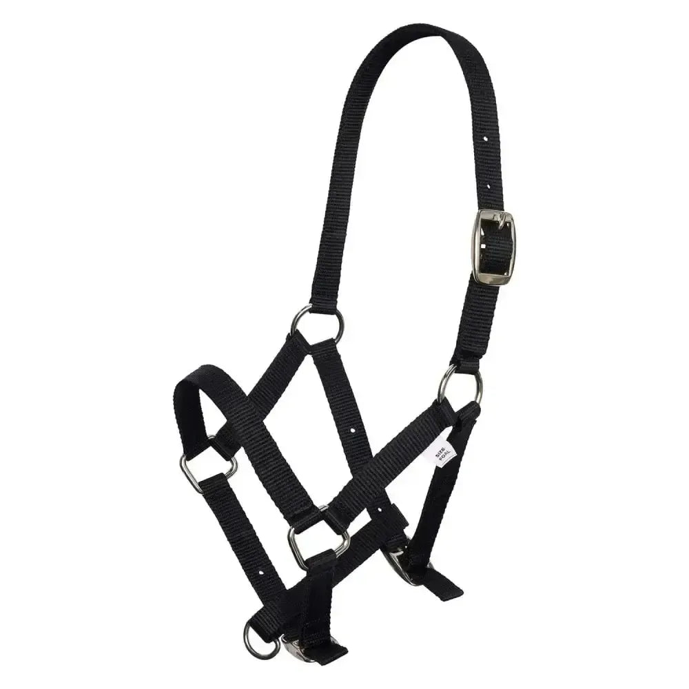 Imperial Riding Headcollar Nylon Foal Foal Bordeaux Headcollars