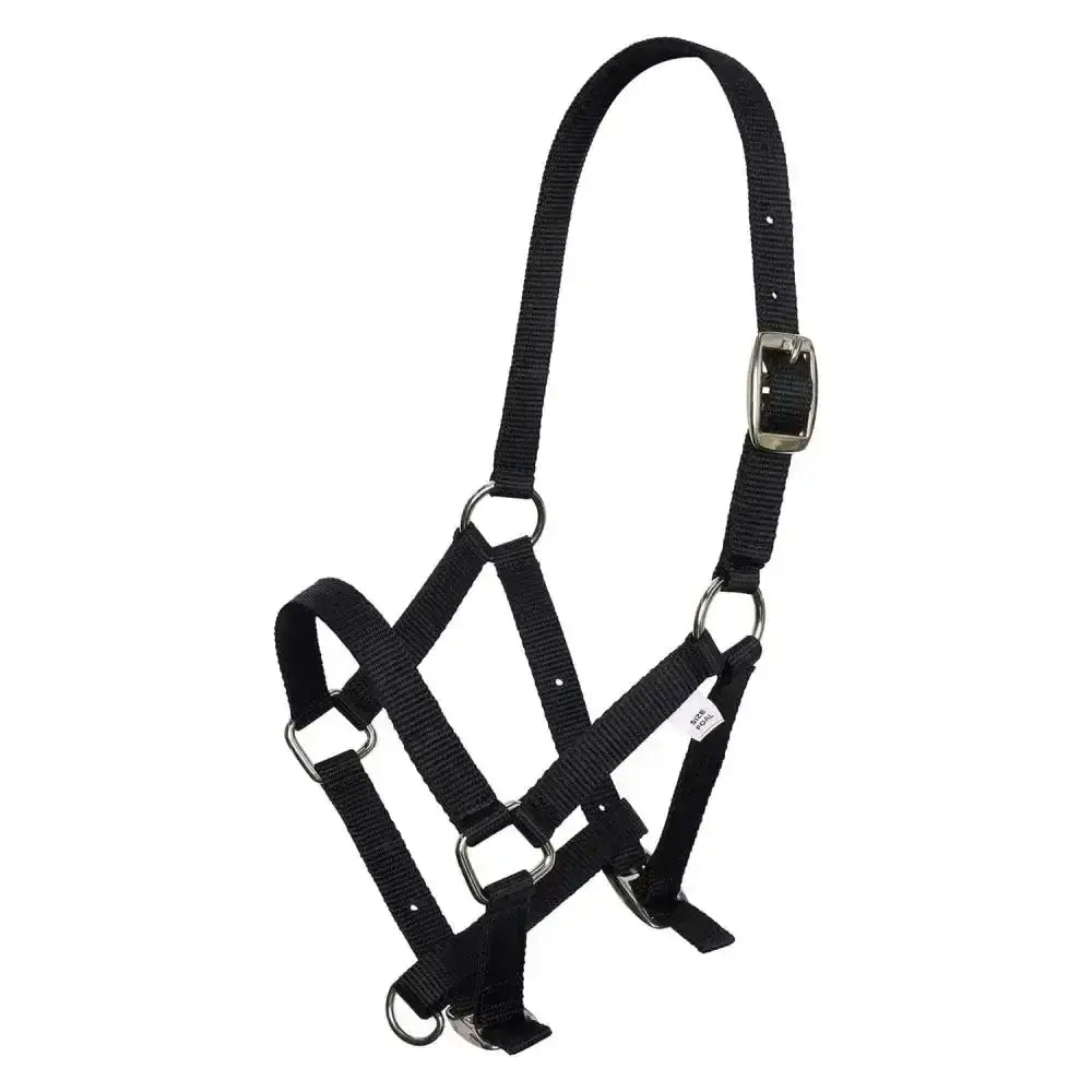 Black nylon foal halter with silver hardware and buckle by imperial riding headcollar nylon foal designed for comfort