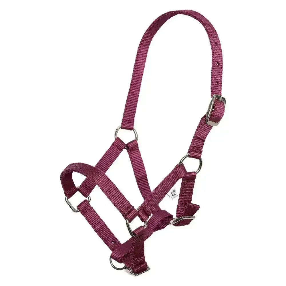 Maroon imperial riding headcollar nylon foal halter with silver metal rings and buckles for foals