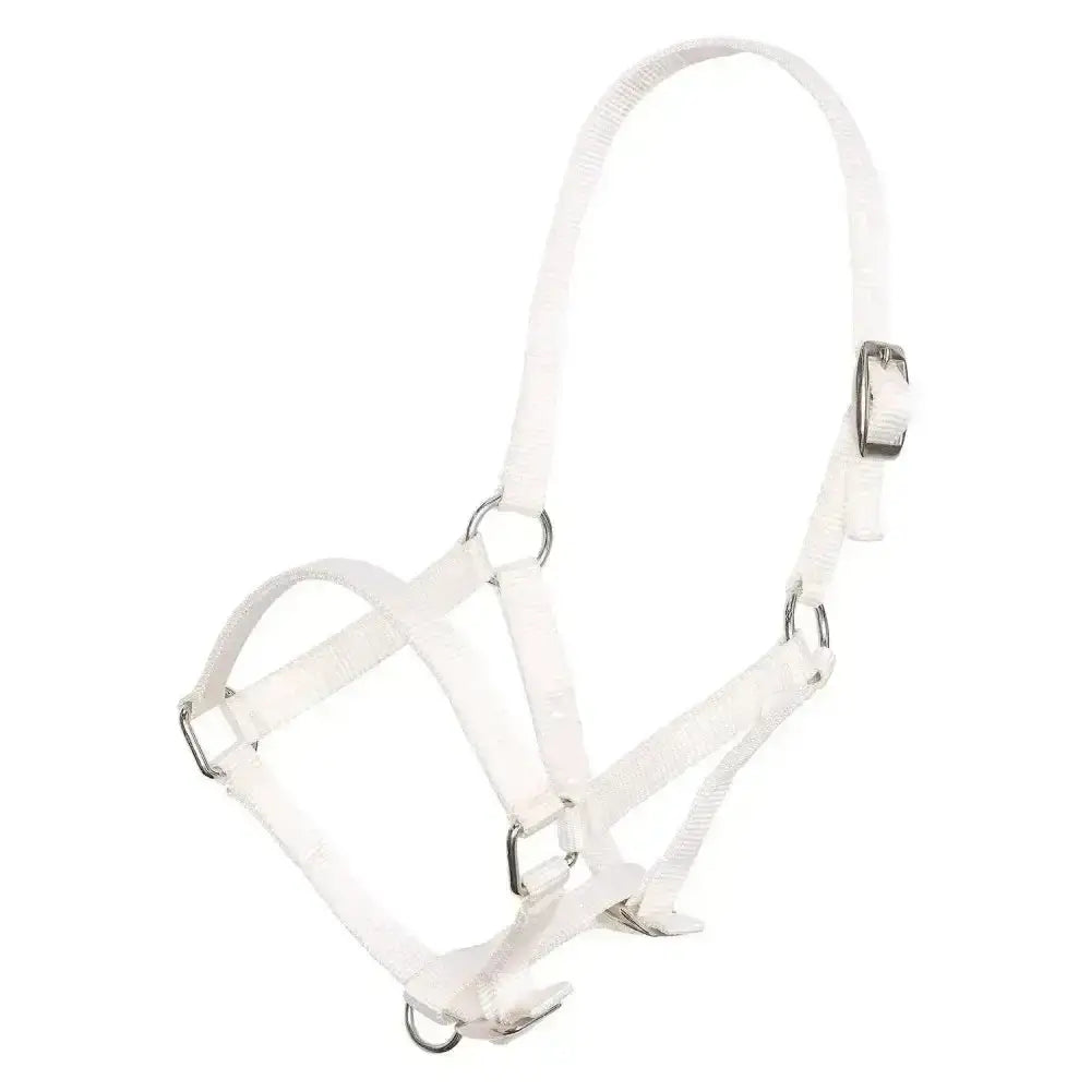 White leather imperial riding headcollar with silver hardware designed as a nylon foal halter for young horses