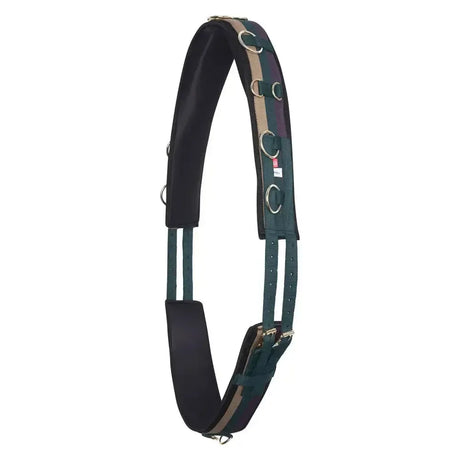 Imperial Riding Lunging Girth Deluxe Extra Multi Forest Green Cob Multi Forest Green Lunging Cavesson