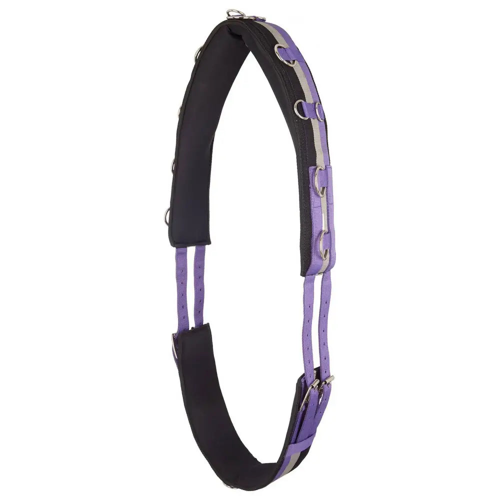 Purple and black padded horse halter with reflective stripes and metal d rings from imperial riding lunging girth nylon deluxe royal purple collection