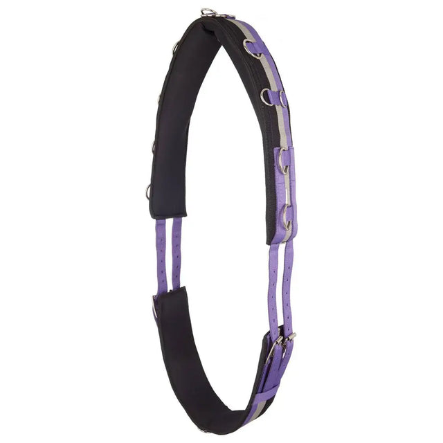 Purple and black padded horse halter with reflective stripes and metal d rings from imperial riding lunging girth nylon deluxe royal purple collection