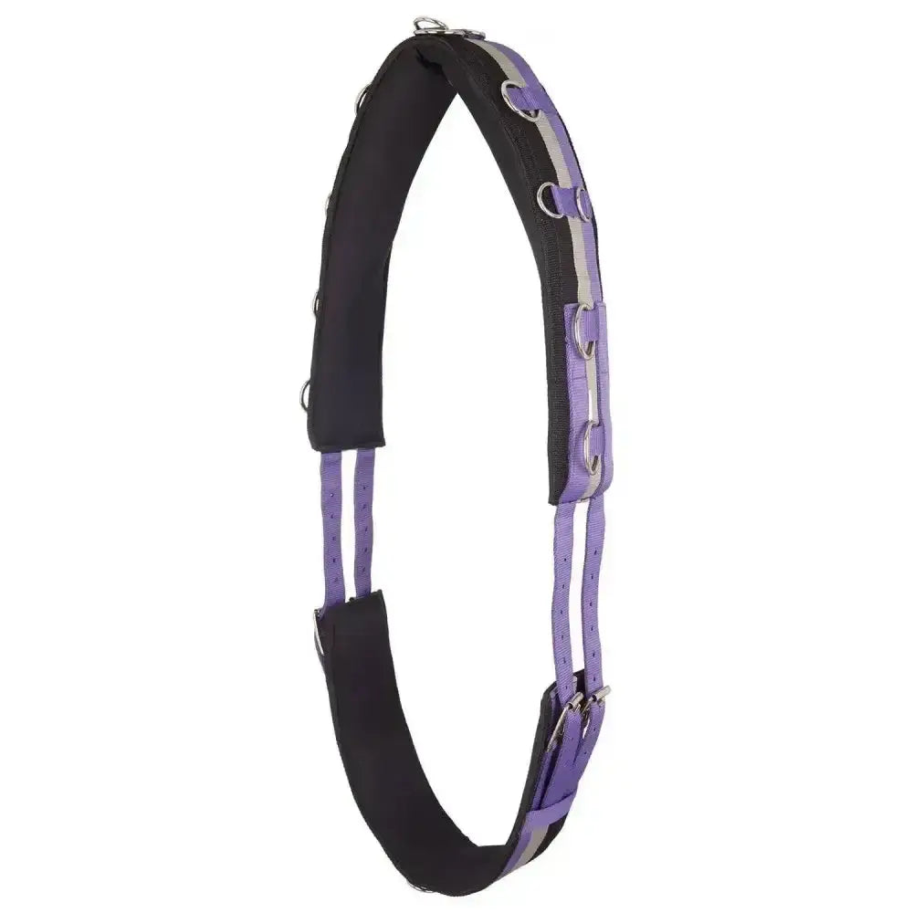 Imperial riding lunging deluxe royal purple lunging girth nylon with purple and black padding and silver hardware