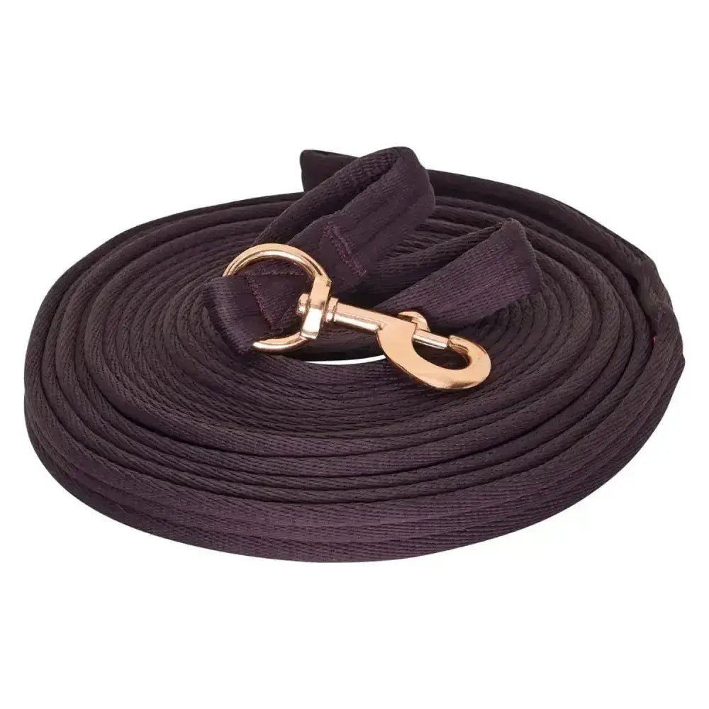 Dark brown woven imperial riding lunging line soft cushion web with gold-toned metal buckle for training horses