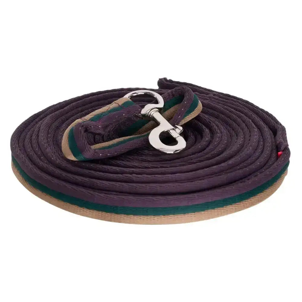 Dark purple and green striped imperial riding lunging line soft cushion web with silver metal buckle for lunging