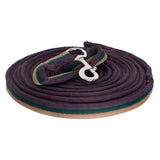 Dark purple and green striped imperial riding lunging line soft cushion web with silver metal buckle for lunging