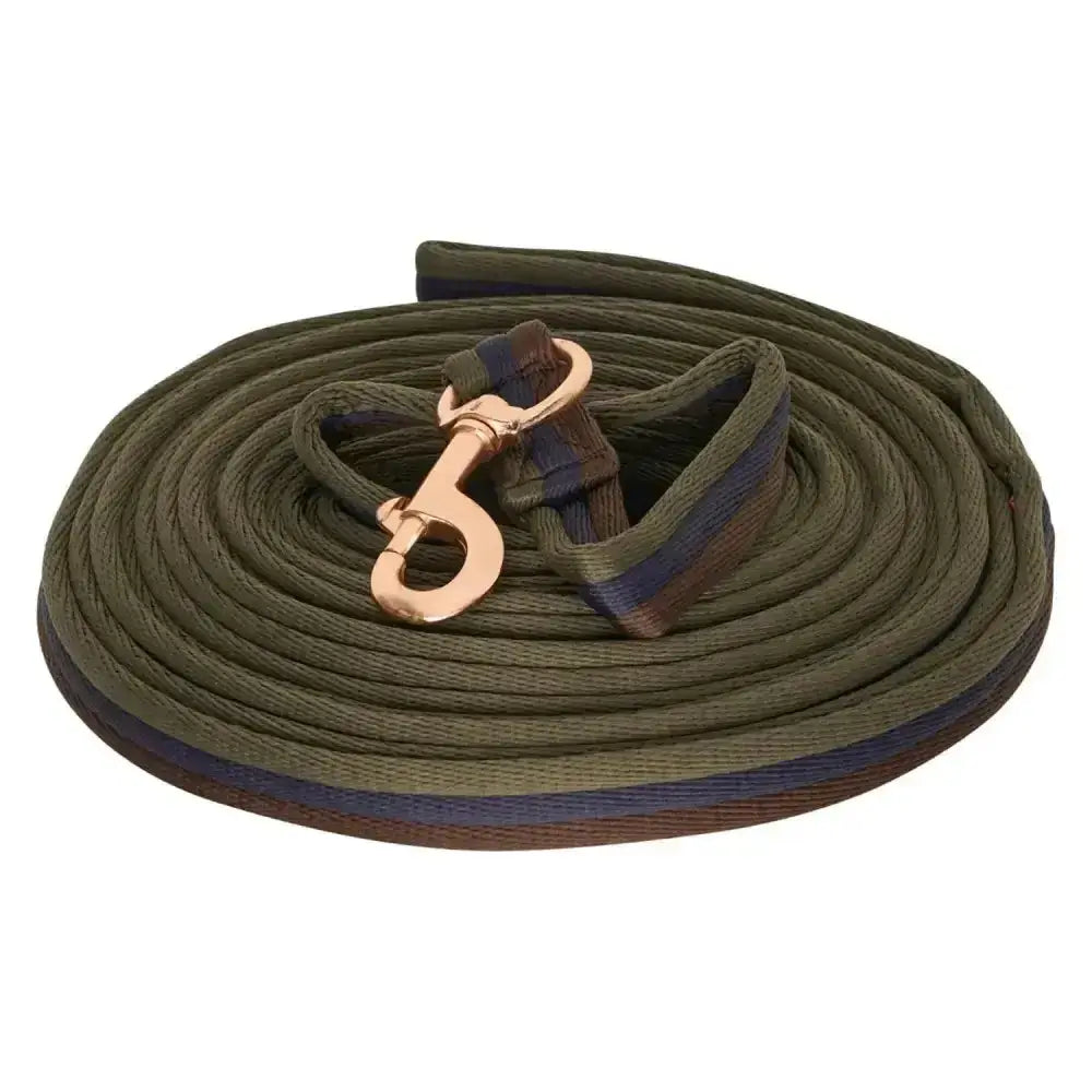 Imperial riding lunging line soft green woven horse lead with rose gold clasp and blue brown striped accents