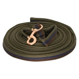 Imperial riding lunging line soft green woven horse lead with rose gold clasp and blue brown striped accents
