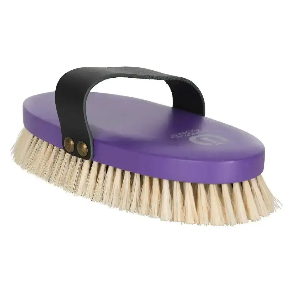 Imperial riding soft brush with purple head, natural bristles, and black leather handle for grooming horses