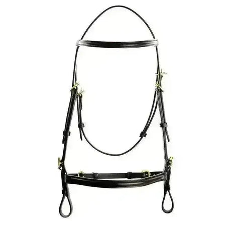 Black leather english leather headcollar with brass hardware in a classic leather headcollar style bridle