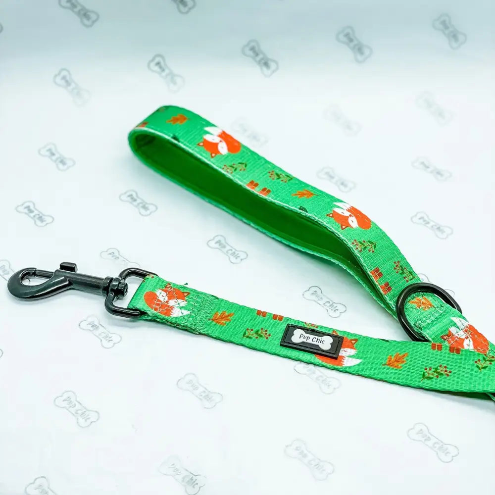 Inquisitive Fox 5ft Dog Lead Pet Products