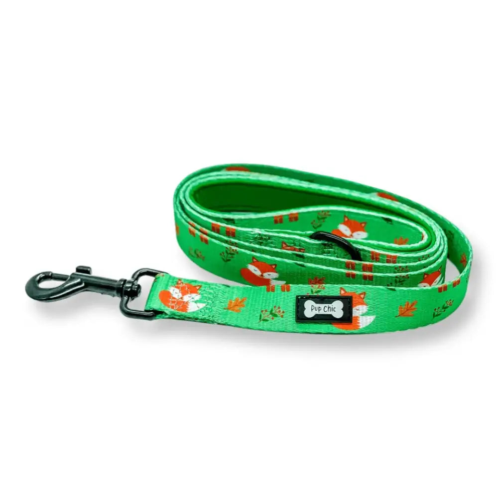 Inquisitive Fox 5ft Dog Lead Pet Products