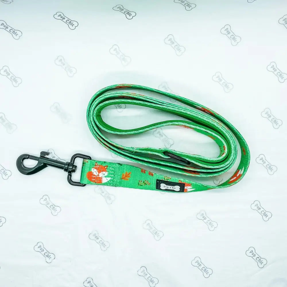 Inquisitive Fox 5ft Dog Lead Pet Products