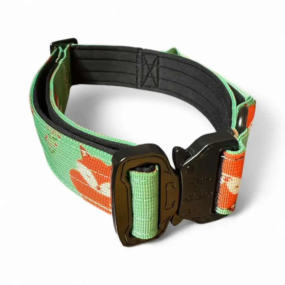 Inquisitive Fox Collar XS Pet Products