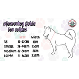 Inquisitive Fox Collar XS Pet Products
