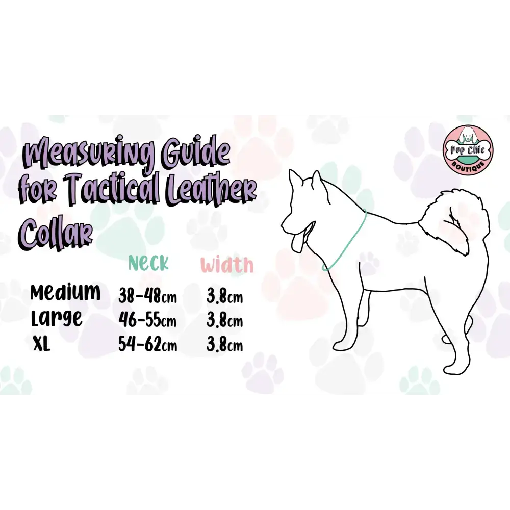 Inquisitive Fox Collar XS Pet Products