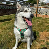 Inquisitive Fox No Pull Tactical Dog Harness – Green Fox Print, Adjustable, Step-In (XS-XL) XS 