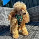Inquisitive Fox No Pull Tactical Dog Harness – Green Fox Print, Adjustable, Step-In (XS-XL) XS 