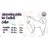 Inquisitive Fox Tactical Dog Collar Large tactical 