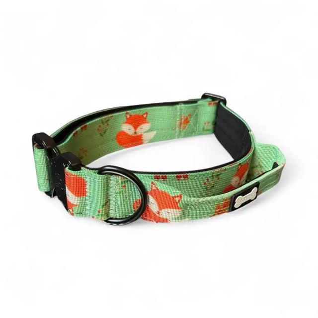 Green fabric tactical dog collar with orange fox prints and black hardware in inquisitive fox tactical woodland style