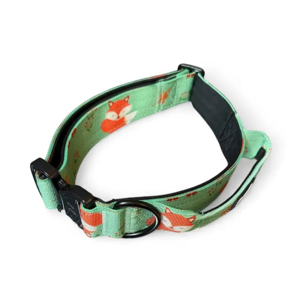 A mint green inquisitive fox tactical dog collar with playful woodland style fox pattern and black hardware