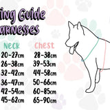 A small breeds dog wearing inquisitive fox xxs puppy harness with teal and pink two-tone straps and fox print