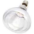 Intelec hard glass infra-red heat bulb 250w with clear glass reflector and metallic screw base for efficient heating
