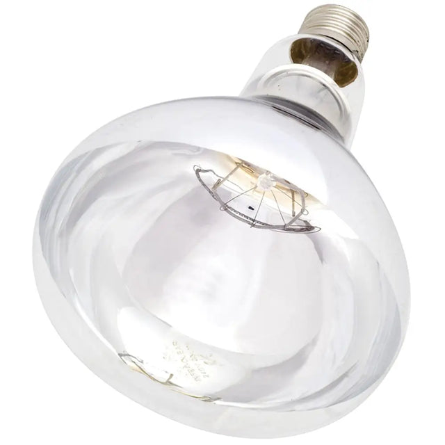 Intelec hard glass infra-red heat bulb 250w with clear glass reflector and metallic screw base for efficient heating