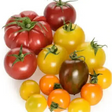 Isle Of White Tomatoes vegetables