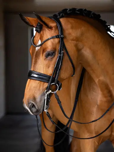 LeMieux Kudos Double Bridle Black