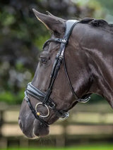 LeMieux Kudos Patent Dressage Bridle Black