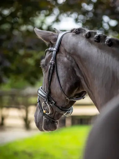 LeMieux Kudos Patent Dressage Bridle Black
